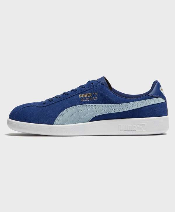 puma bluebird puma bluebird