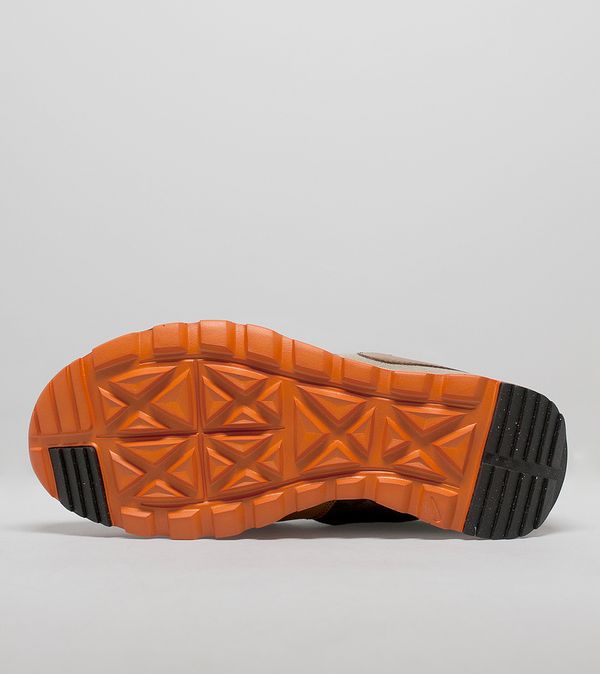 nike sb x poler