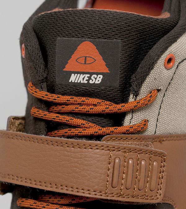 nike sb x poler