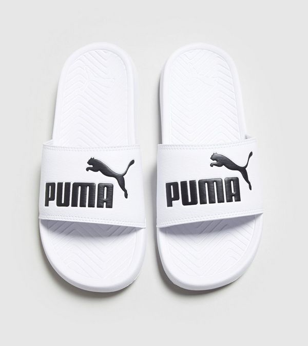 popcat puma popcat puma