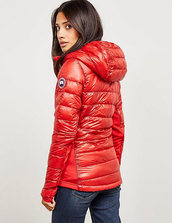 canada goose hybridge red canada goose hybridge red