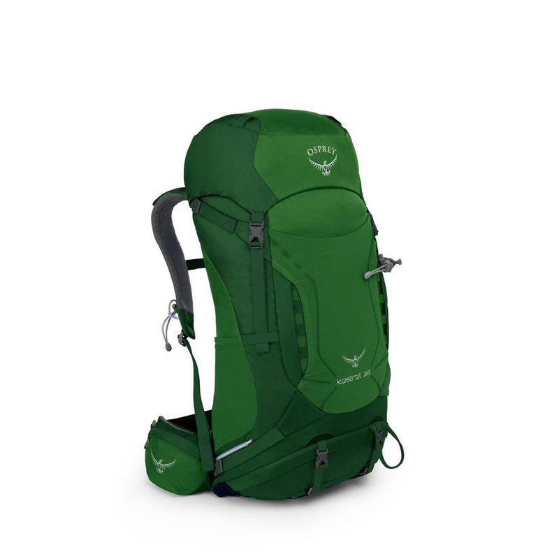 Osprey kestrel 48 jungle green best sale