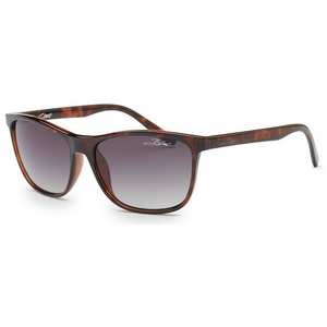 Coast Shiny Tortoise - Polarised Grey Lens Sunglasses