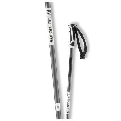 Salomon Arctic Ski Pole