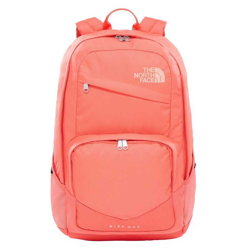 North face wise guy backpack online