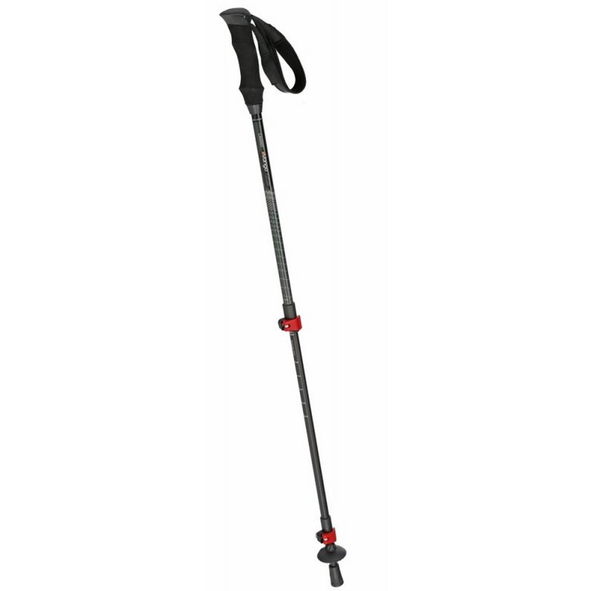 Single 2025 walking pole