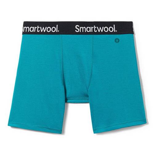 Icebreaker Men's Anatomica Boxers - Green