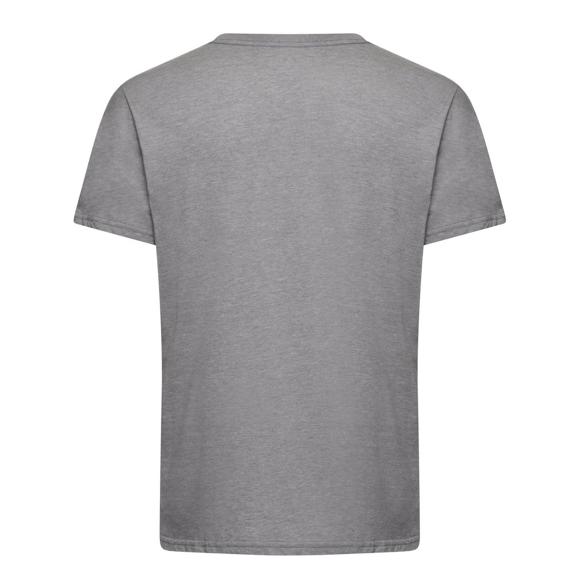 Fox Men's Absolute Premium T-Shirt - Glentress Custom / Grey
