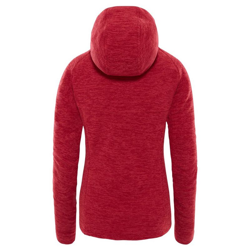 North face nikster hoodie best sale