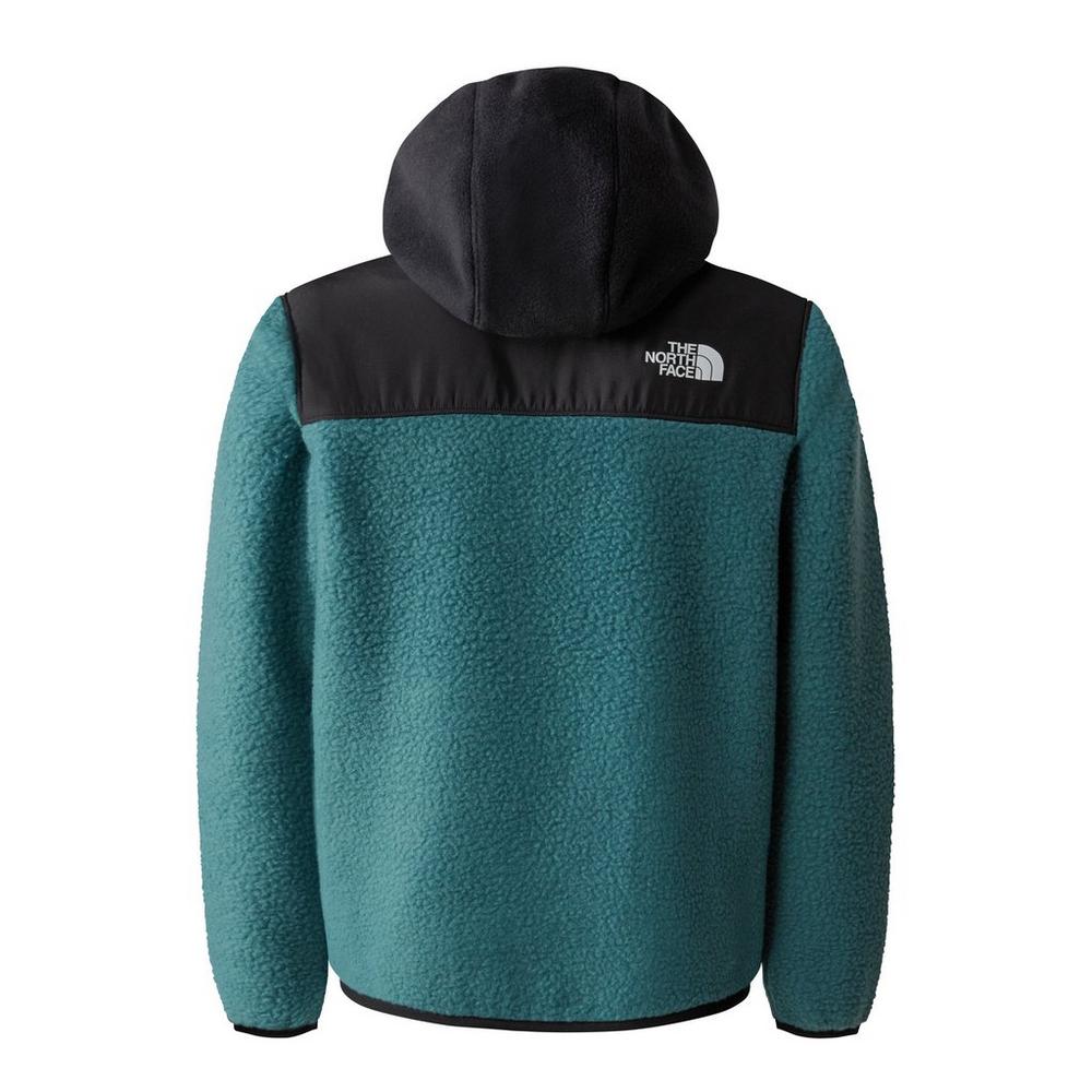 North face clearance fleece jacket kids