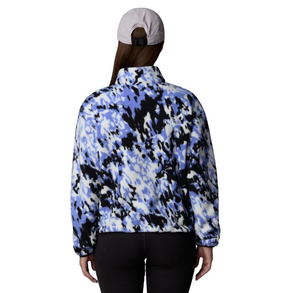 The North Face Women's Fleeski 1/4 Zip Pullover Fleece - Multi