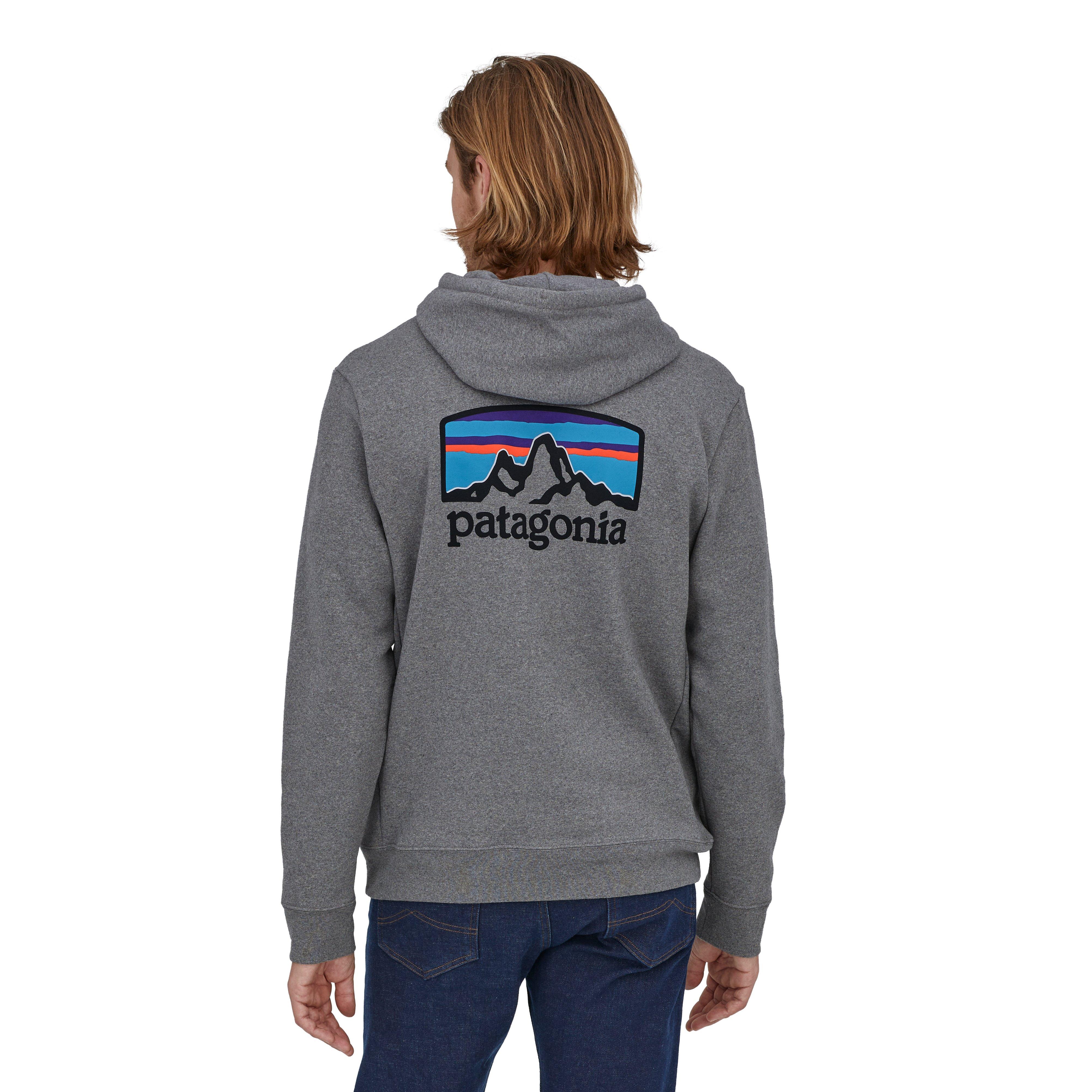 Mens hot sale patagonia hoodie