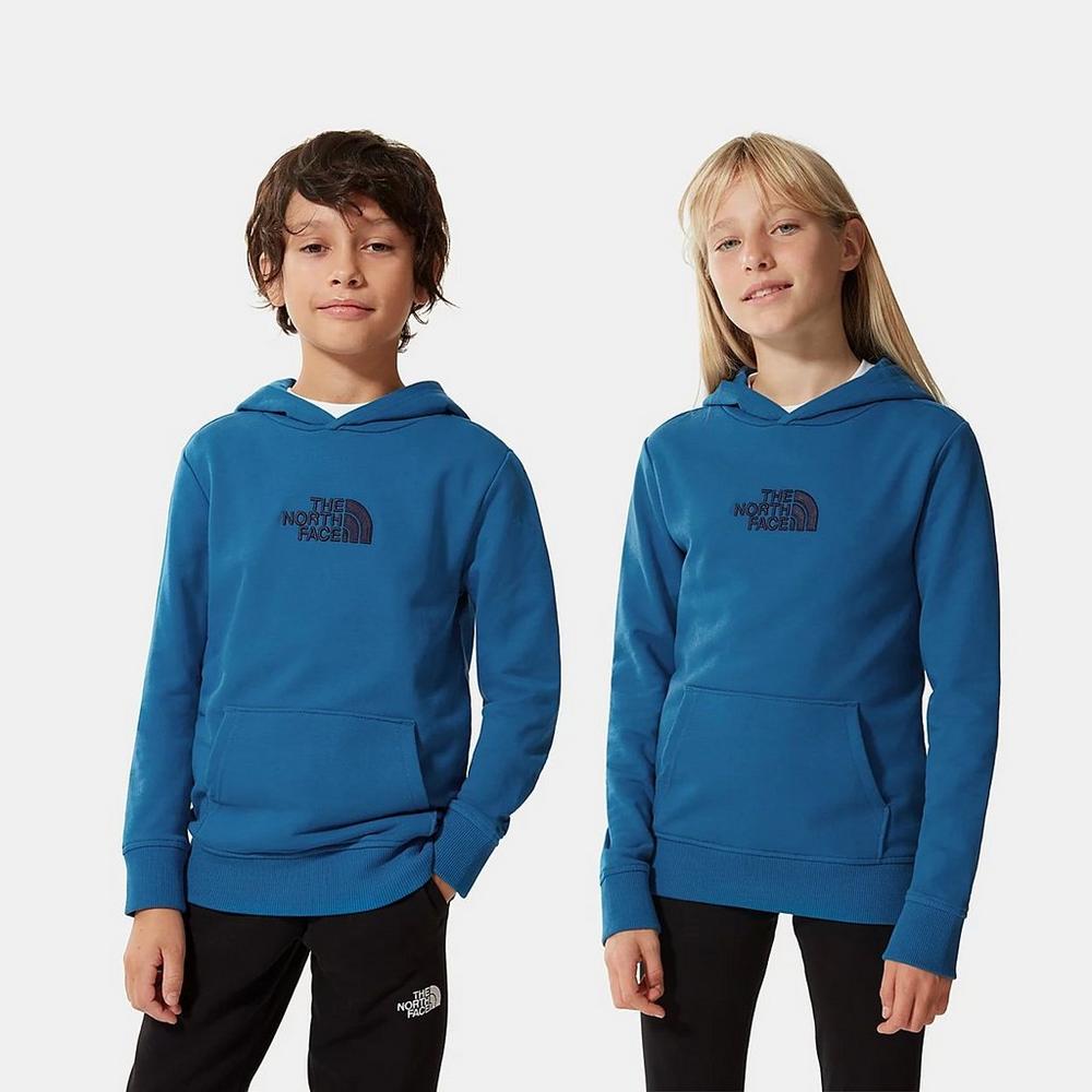 The north face cheap drew peak hoodie junior