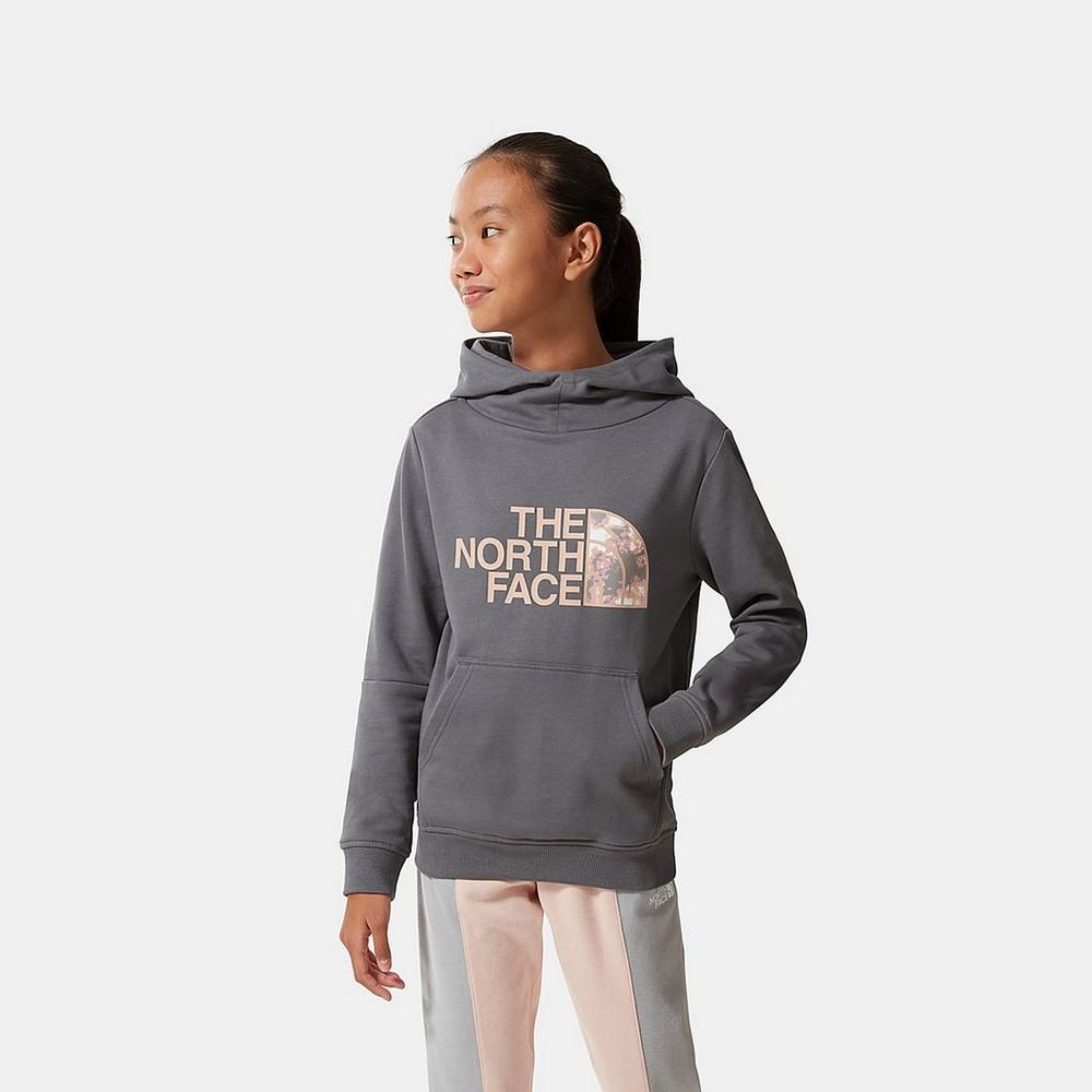 Kids The North Face Drew Peak Hoodie Hoodies Jumpers George