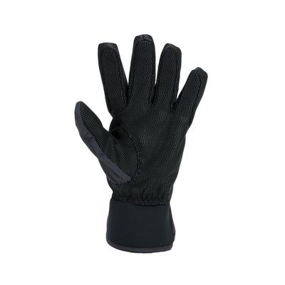 Sealskinz Unisex Griston Glove - Black