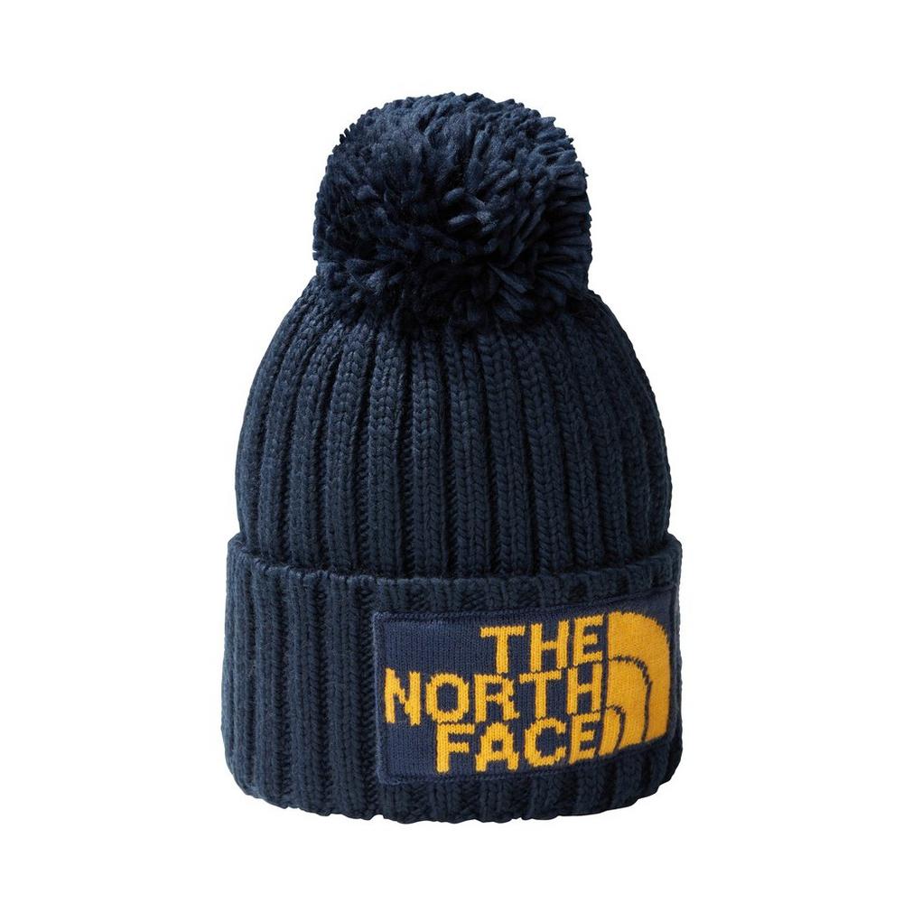 Beanie hat hot sale north face