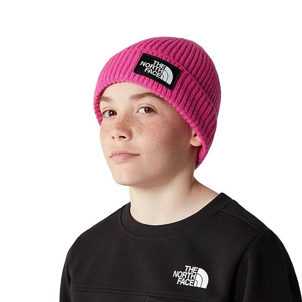 TNF Logo Beanie