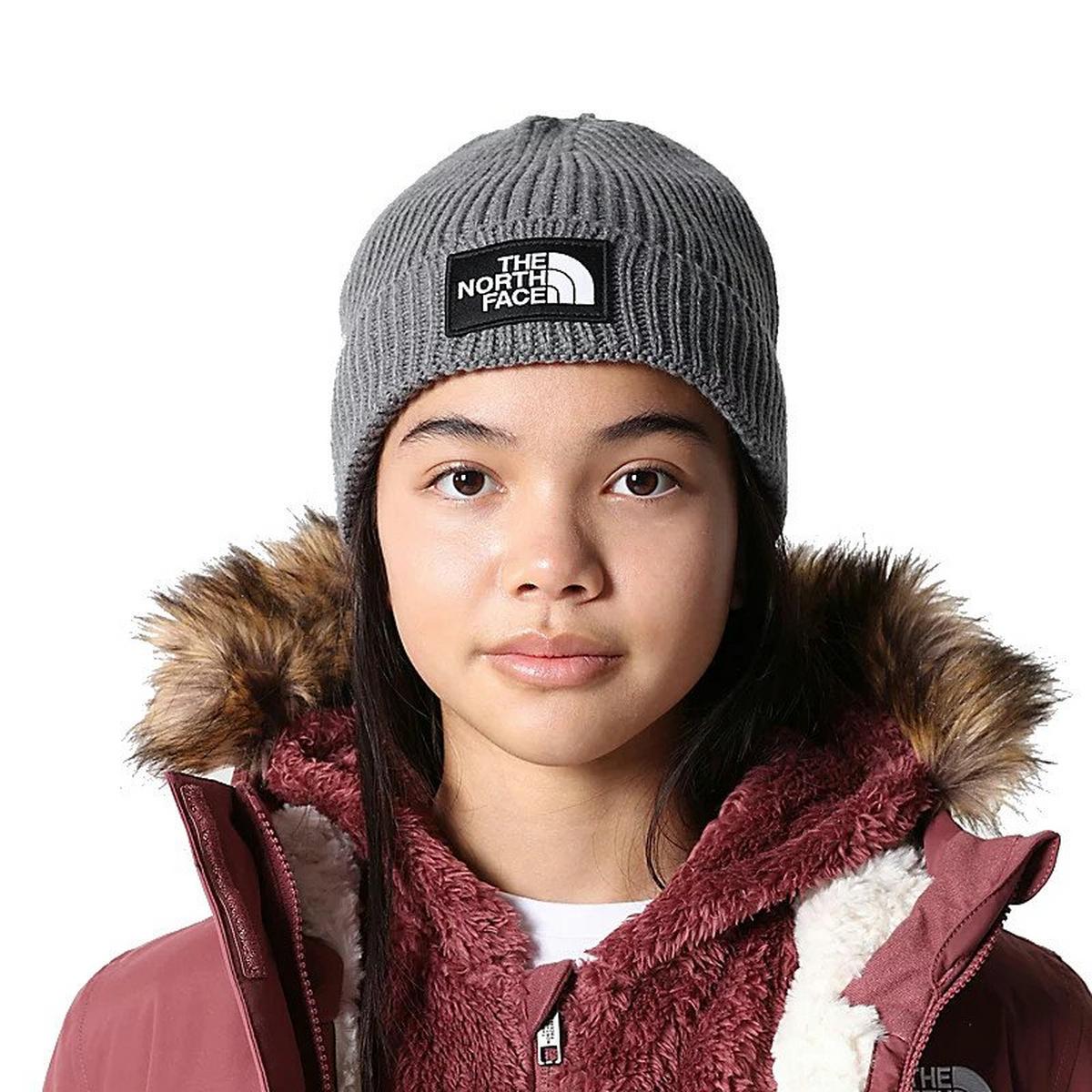 Jacket North Face Logo Box The North Face Men's Box NSE Pullover