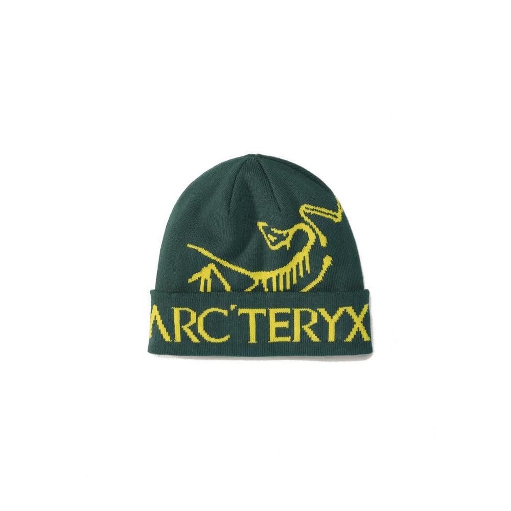 Arcteryx Unisex Bird Word Toque - Green