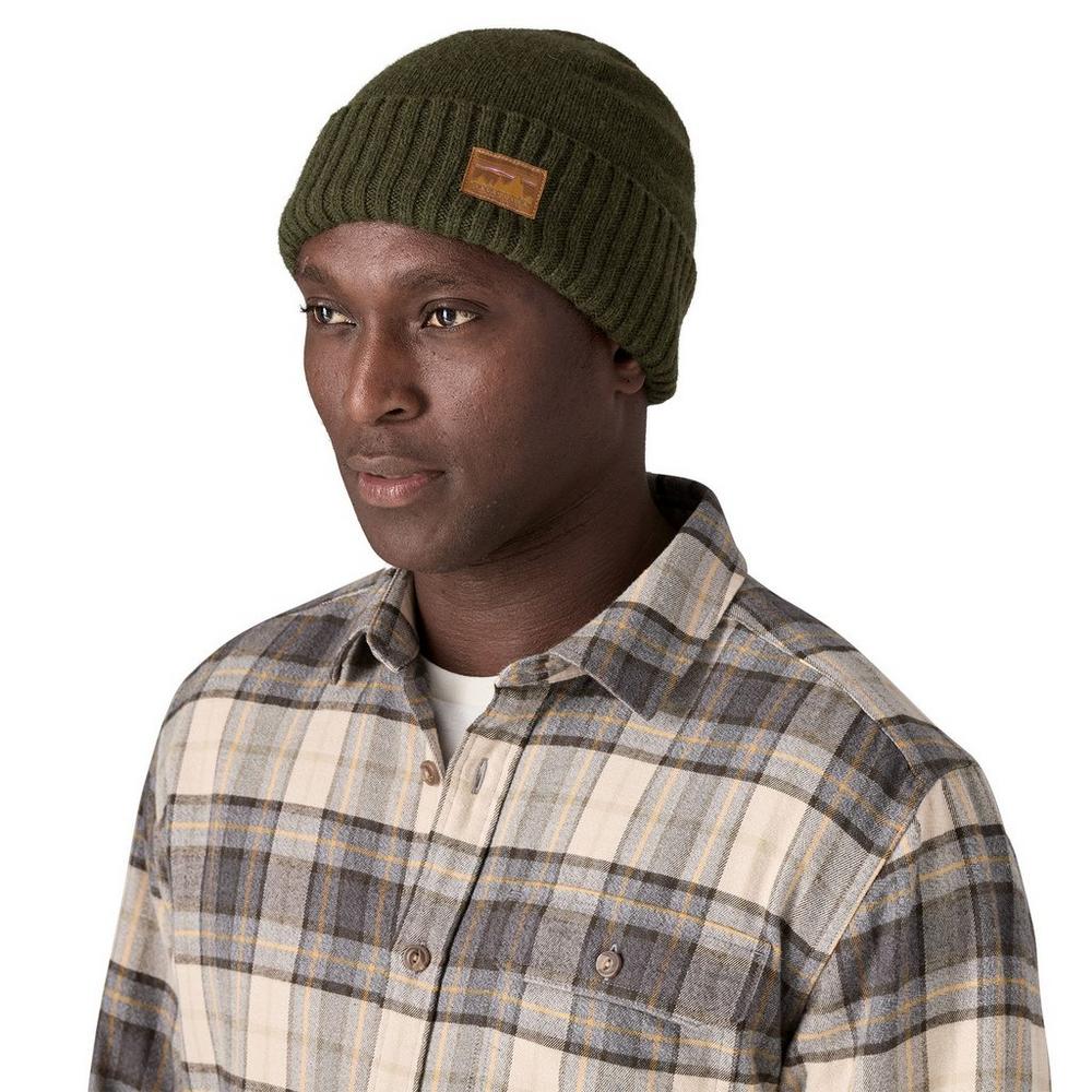 Patagonia green beanie on sale