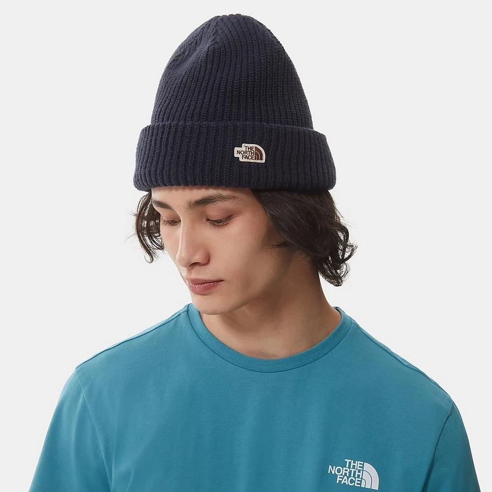 North face store navy beanie