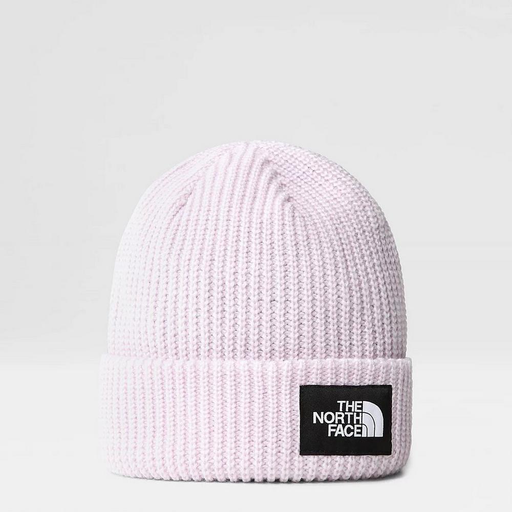 North face shop beanie hat womens