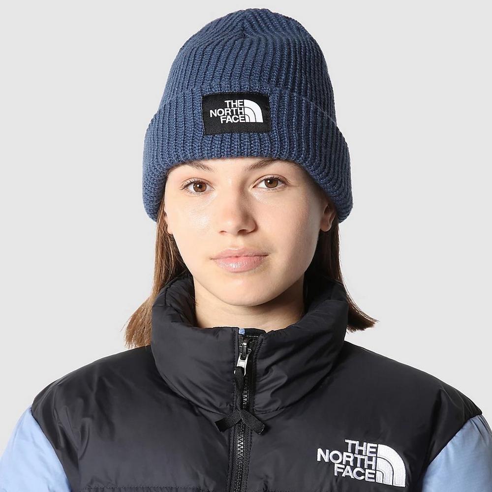 The north face salty dog beanie hot sale hat