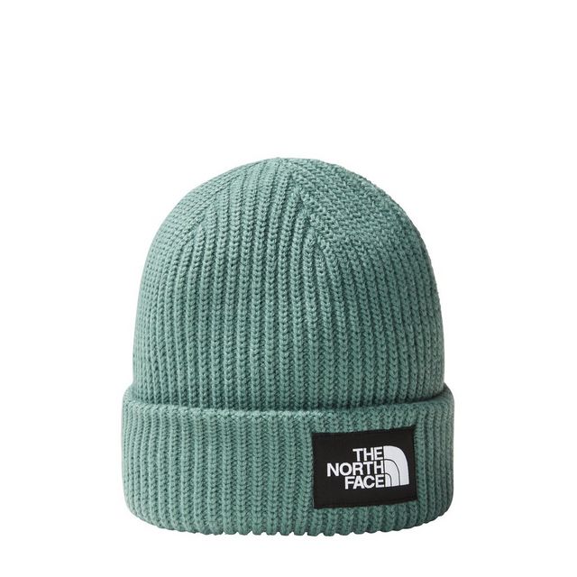 The North Face Women s Salty Dog Beanie Green Tiso