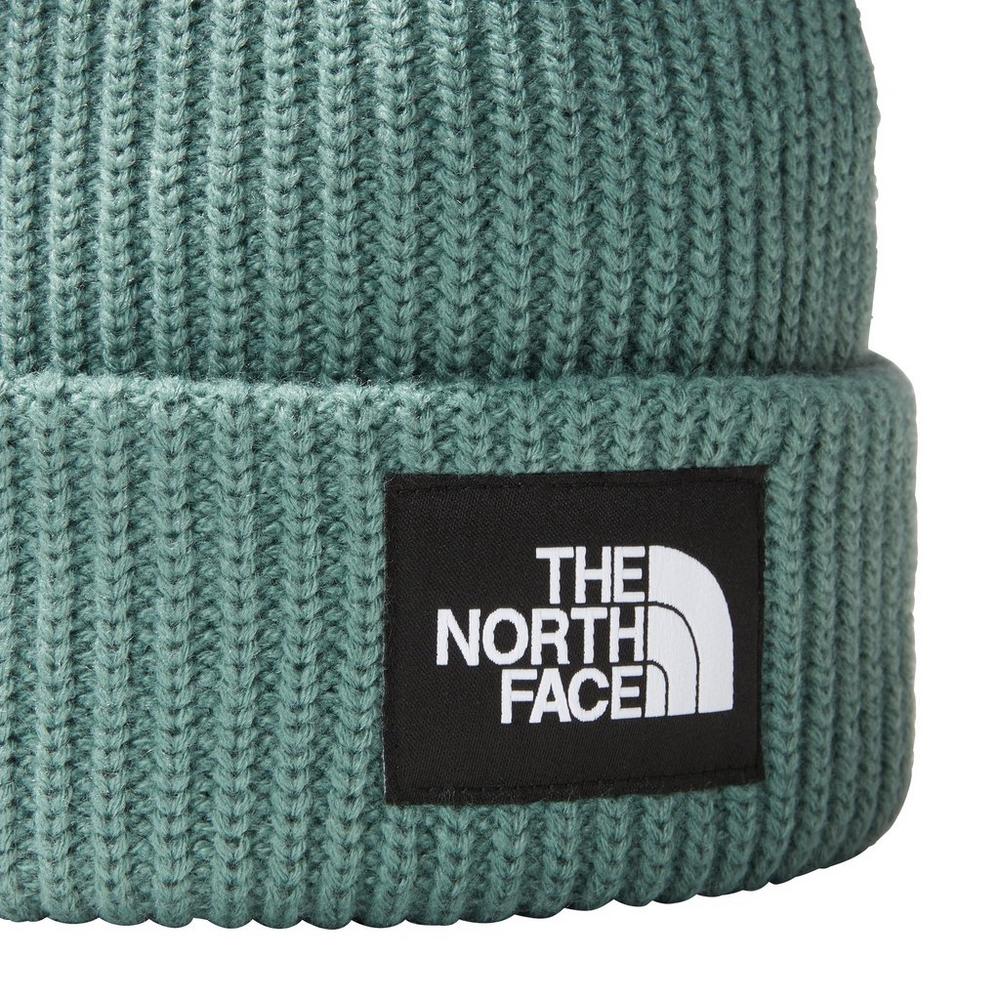 The north face salty dog hot sale beanie hat