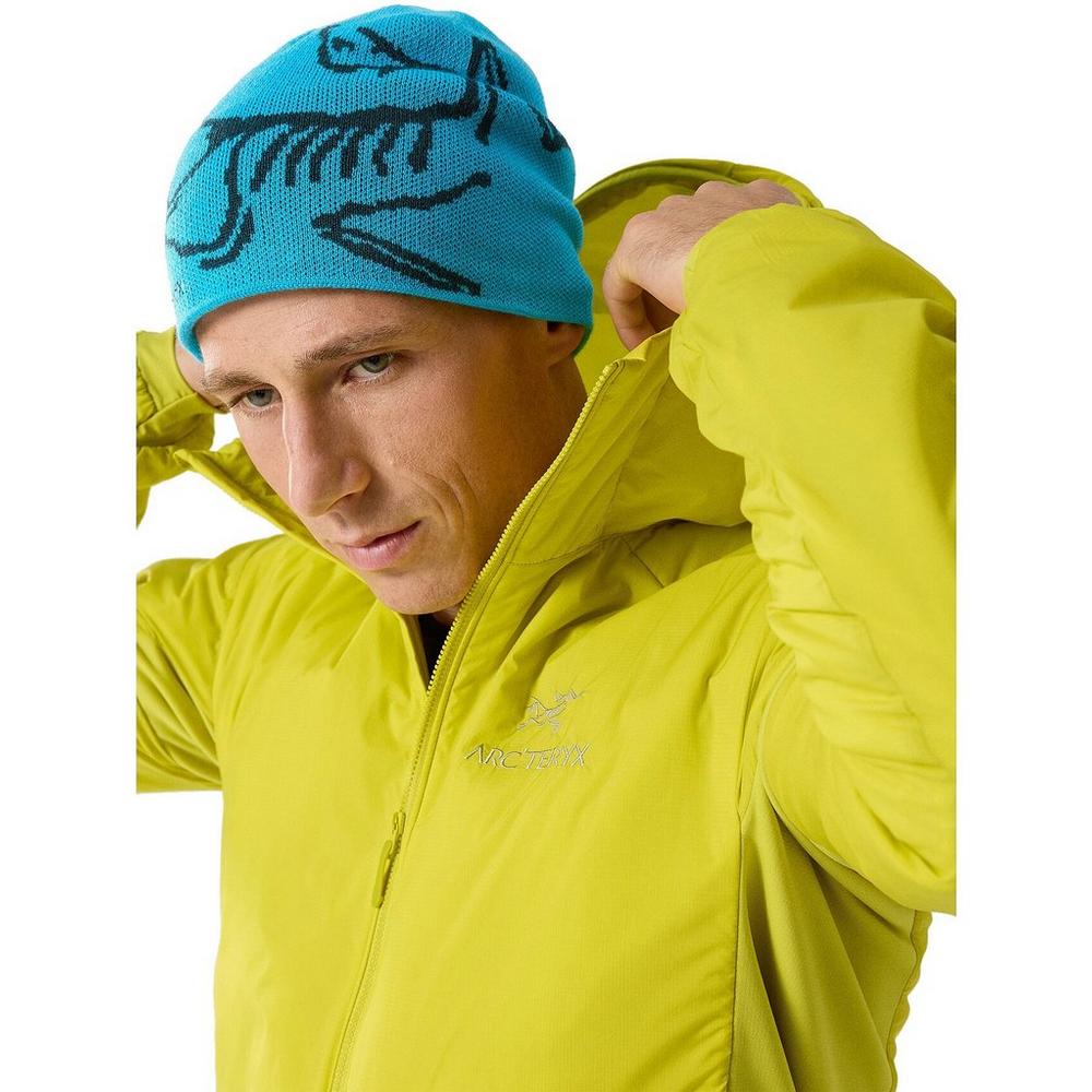 Arcteryx bird outlet head