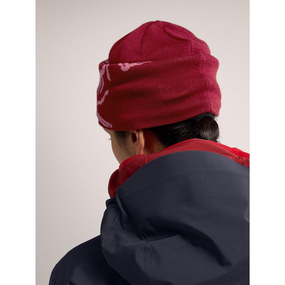 帽子 ARC'TERYX Bird Head Toque Red 帽子 ARC'TERYX Bird Head Toque