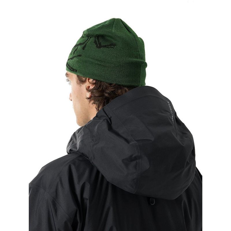 Arc'teryx Unisex Bird Head Toque - Eden/Black | Tiso
