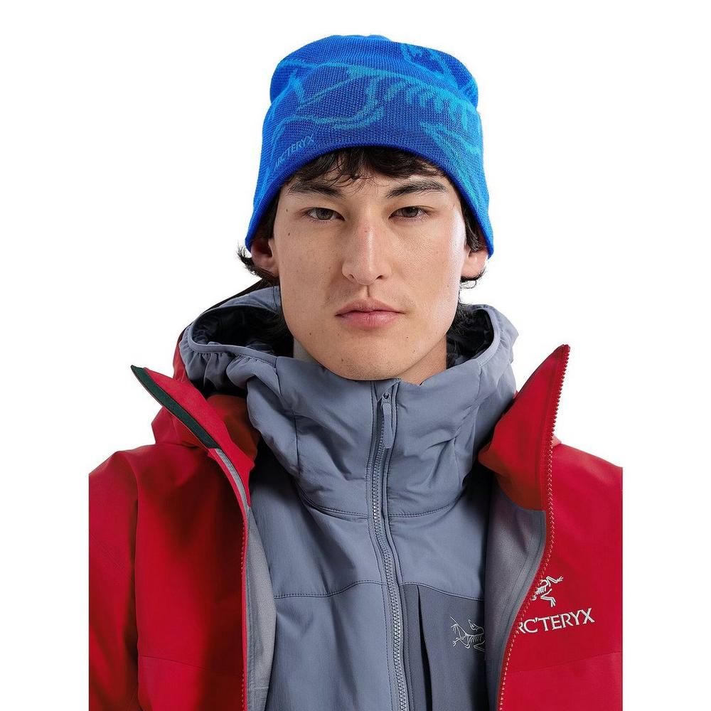Arc'teryx Unisex Bird Head Toque - Vitality/Fluidity | Tiso