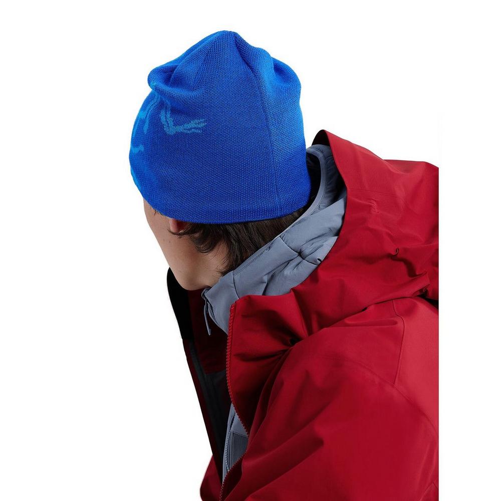 Arc'teryx Bird Head Toque Beanie Vitality/Fluidity Men's