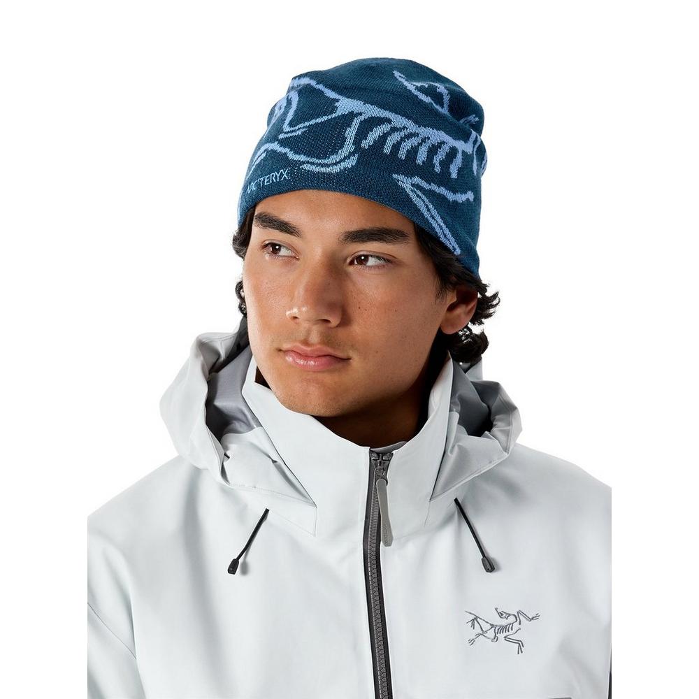 【正規品】ARCTERYX Bird Head Toque Nightscape Bird Head Toque(ONE Nightscape×Glacial/ナイトスケープ×グレイシャル