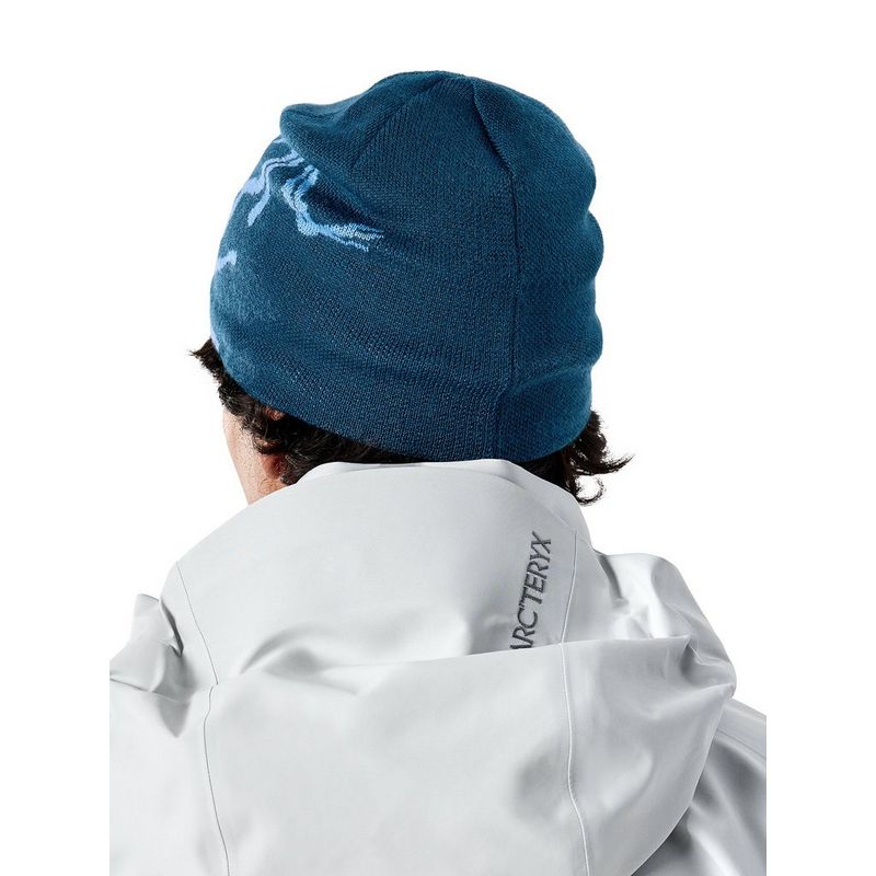 ARC'TERYX Bird Head Toque ネイビー Arc'teryx Bird Head Toque – The Trail Shop