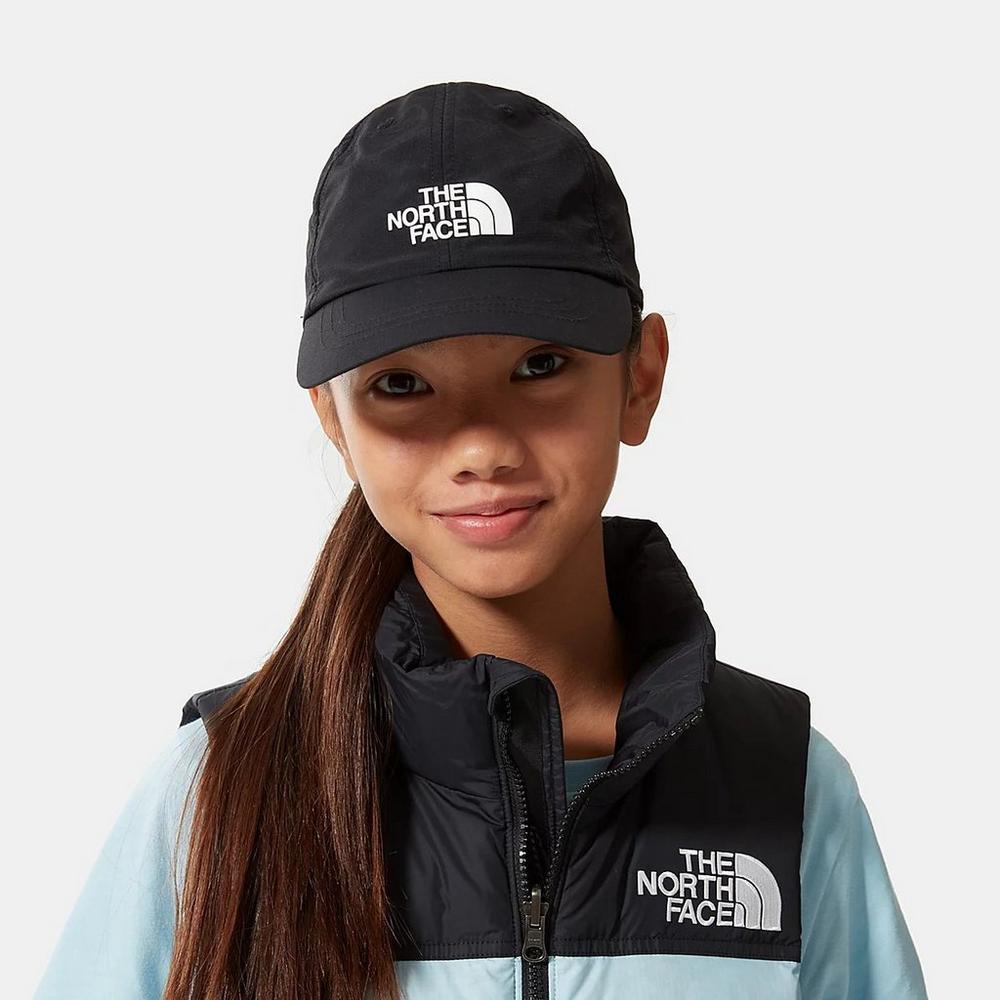 The north face horizon best sale baseball cap