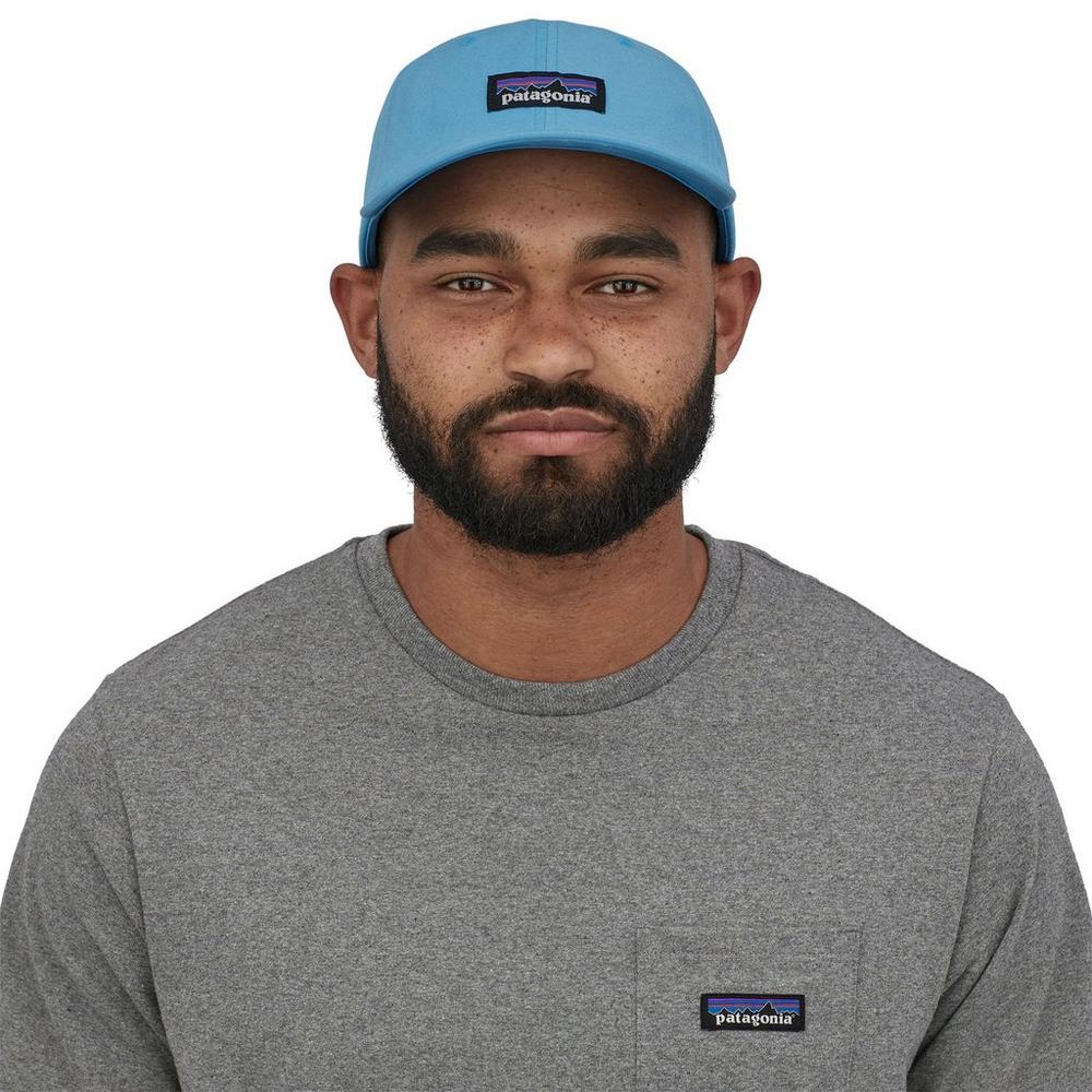 Patagonia best sale cap p6