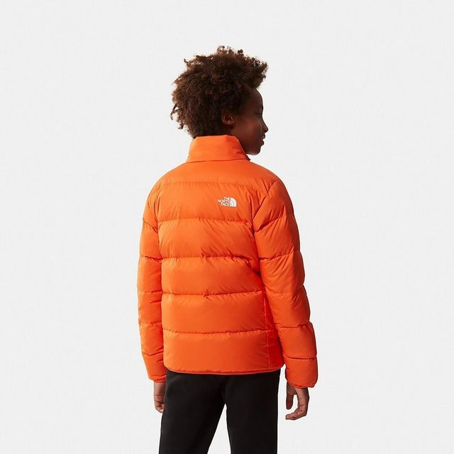 Andes north face jacket best sale