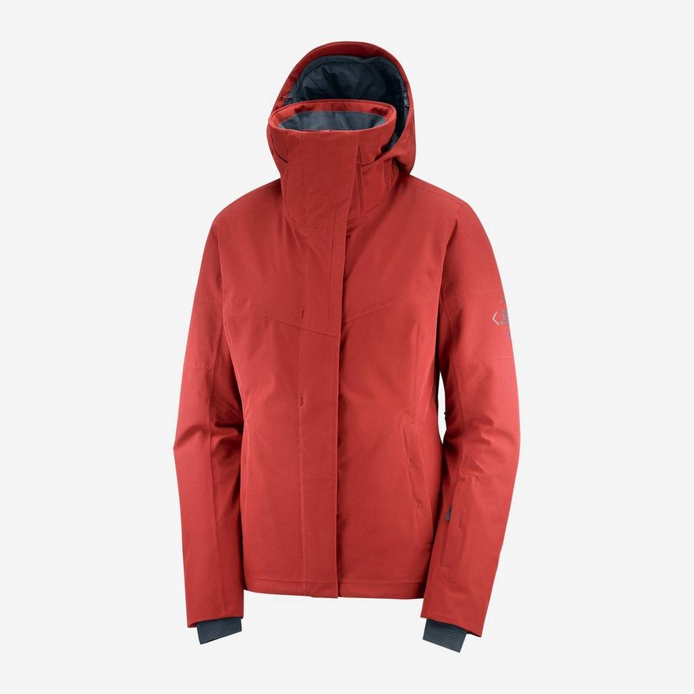 Salomon speed best sale jacket women's