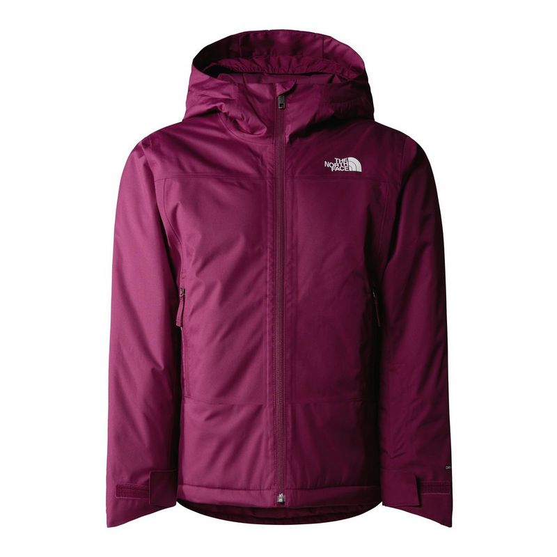 Purple north face ski jacket sale