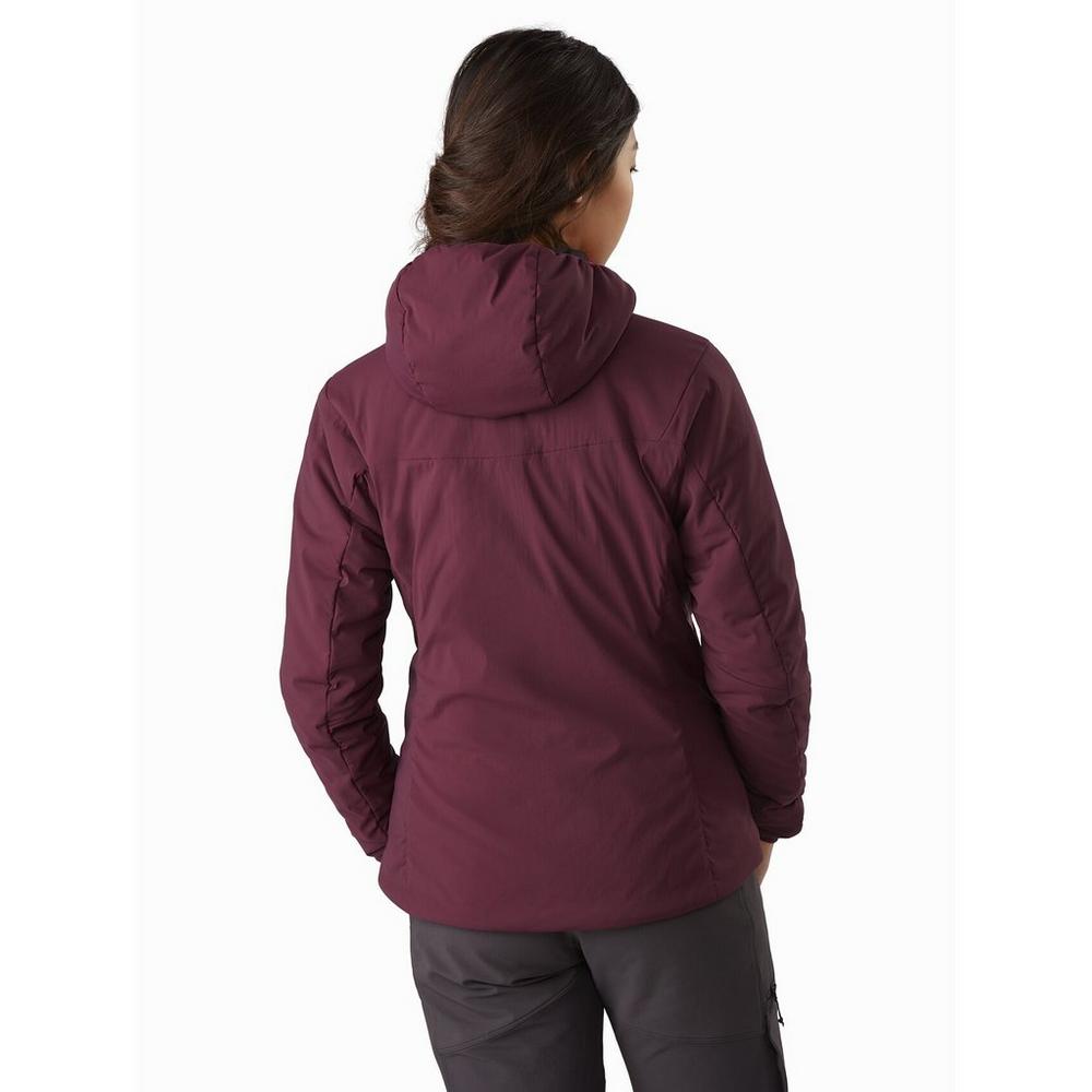 Proton lt hoody clearance women's