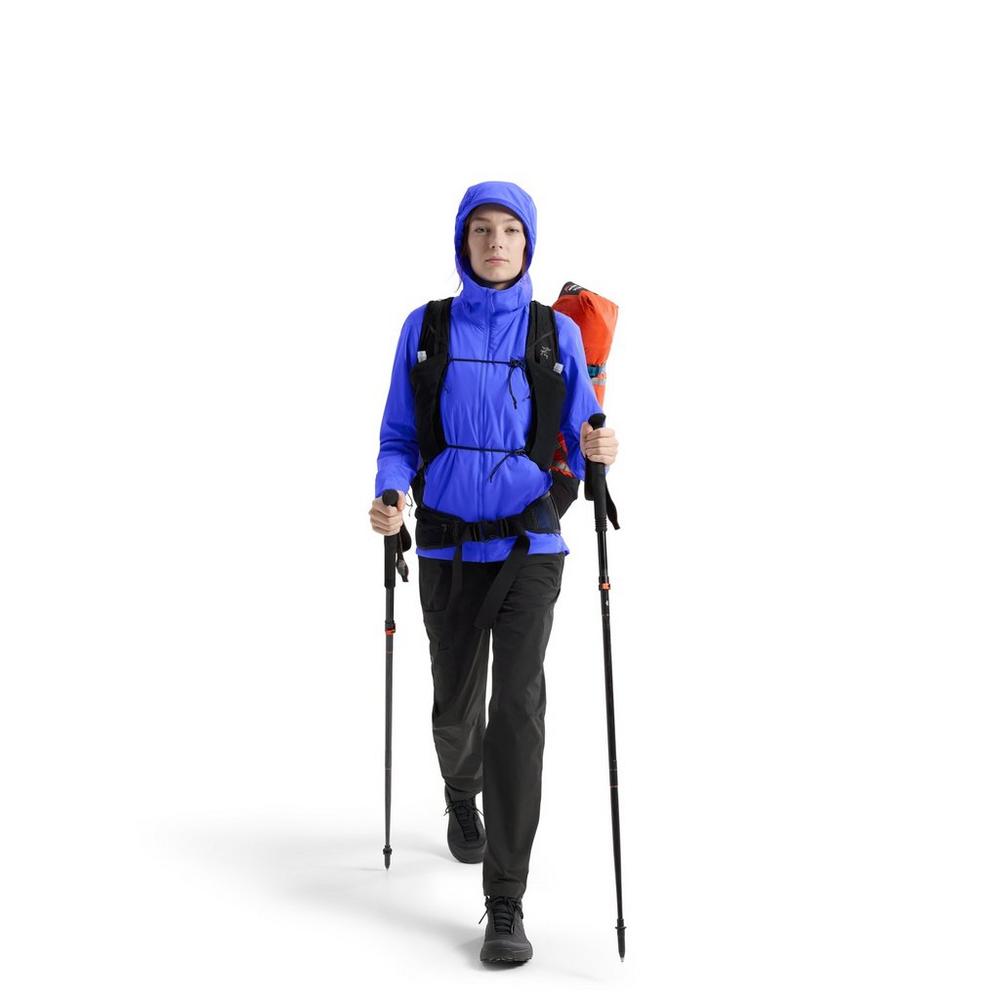 Arc'teryx Women's Atom SL Hoody - Electra