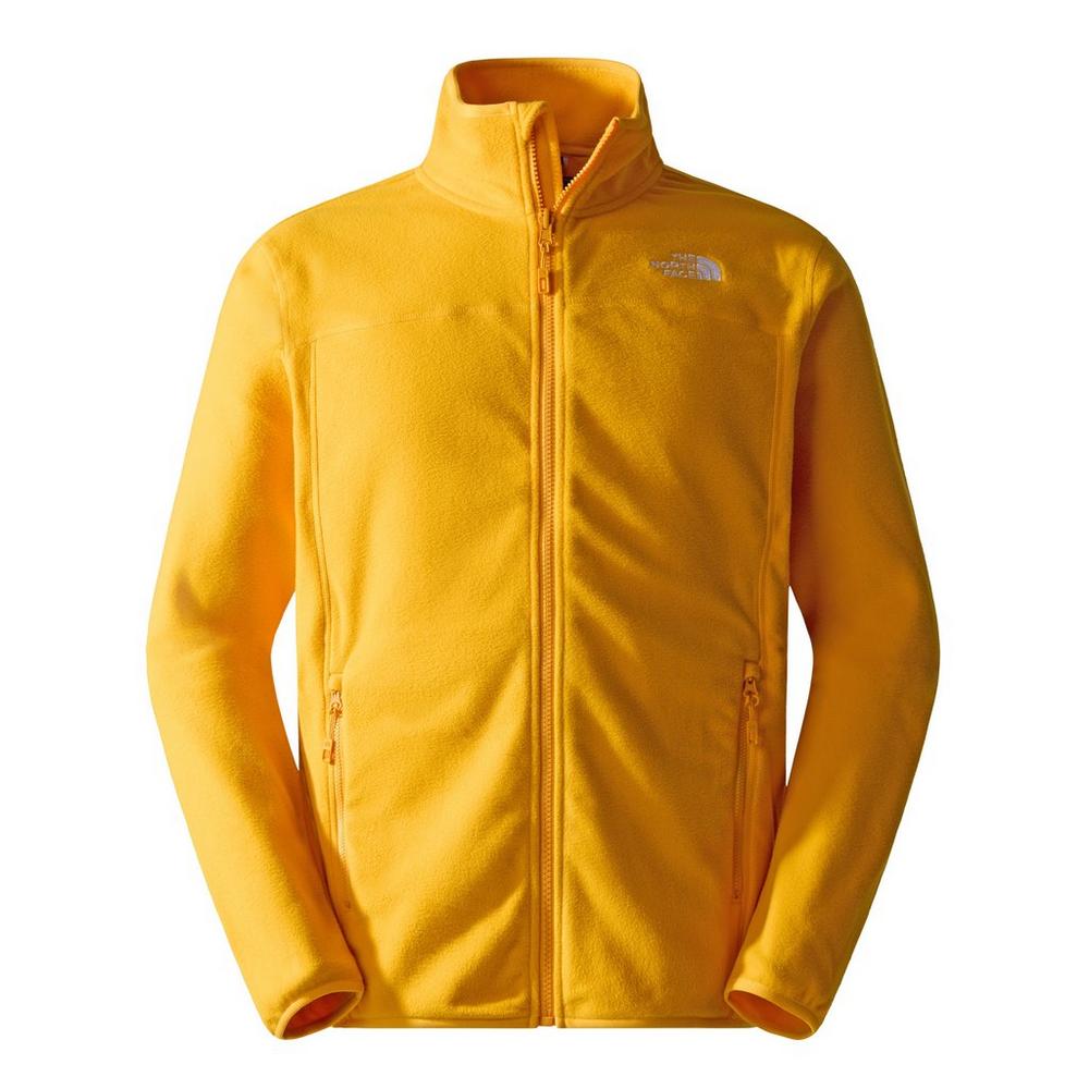 The north face store micro fleece