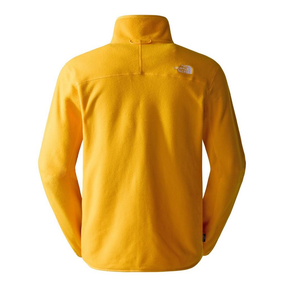 The north face 100 glacier full on sale zip men's fleece