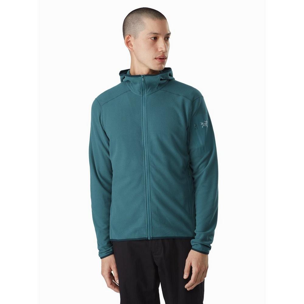 Arcteryx mens shop delta lt jacket