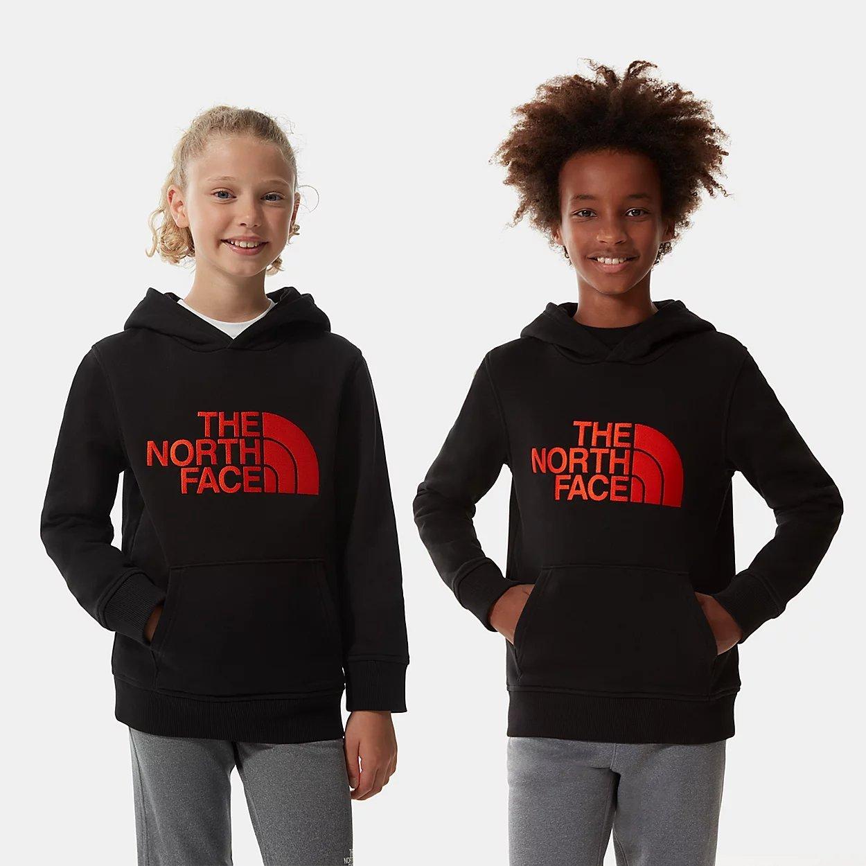 THE NORTH FACE-TEENS BOX P/O HOODIE DARK SAGE/ASPHALT GREY/RAIN CAMO PRINT  - Sweatshirt