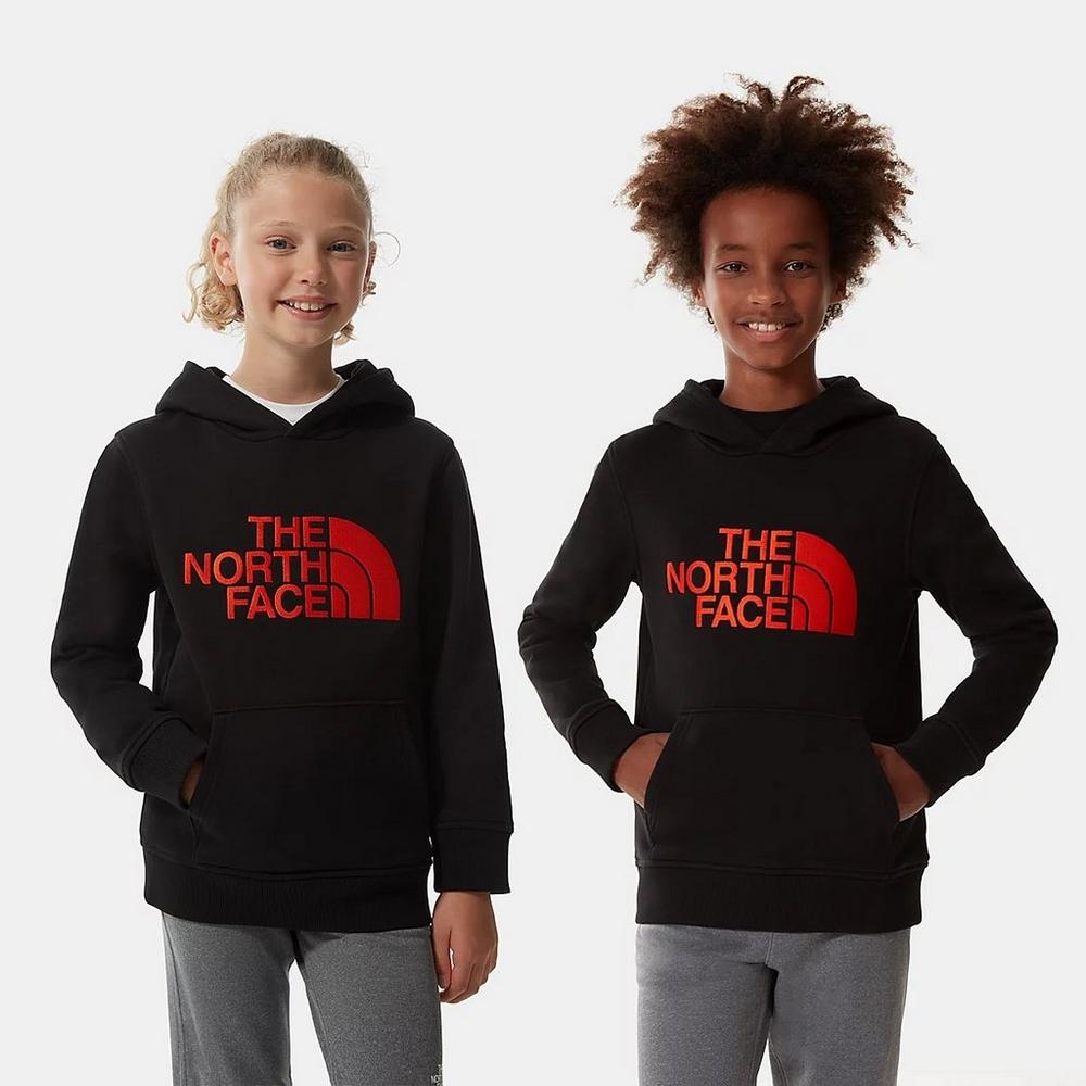 North face best sale sweatshirt junior