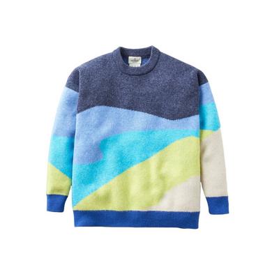 Passenger Women's Scenic Knitted Jumper - Blue