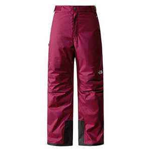 Girls' Freedom Insulated Ski Trousers - Purple